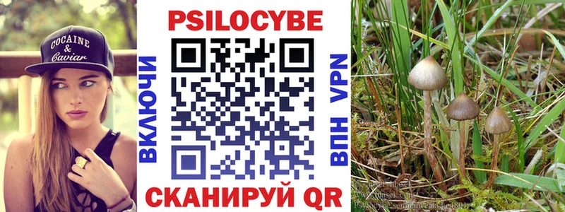 Купить где  Дятьково  Псилоцибиновые грибы Magic Shrooms 